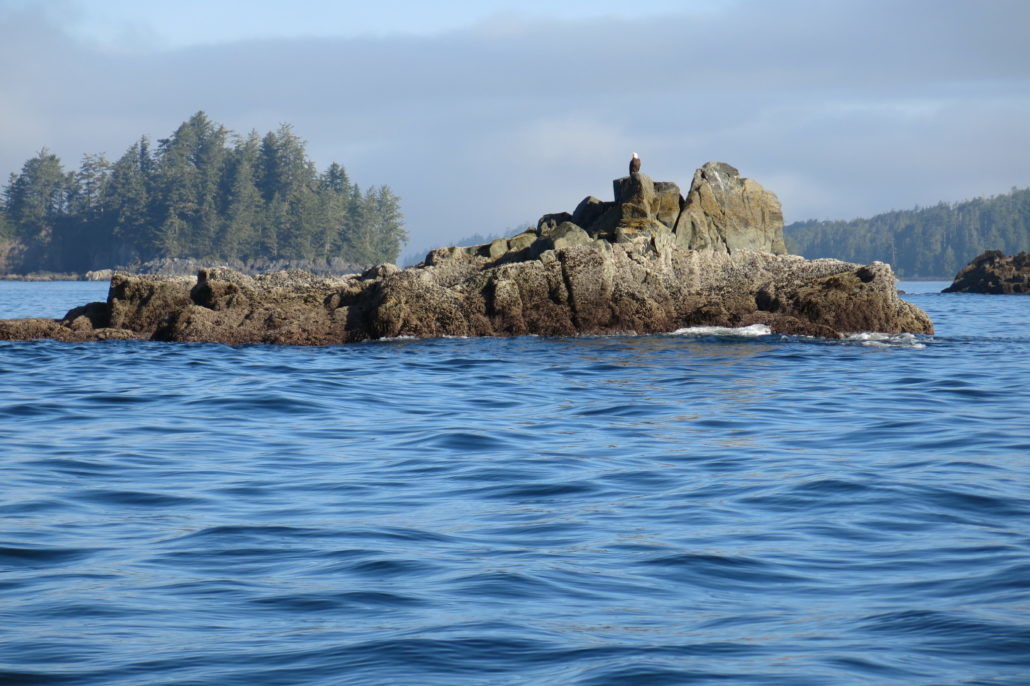 Eagle Nook Resort Ucluelet Eksteriør billede